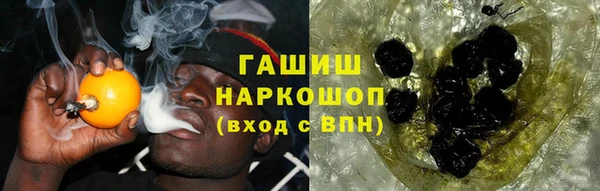 соль ск Инсар