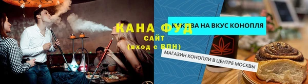 соль ск Инсар
