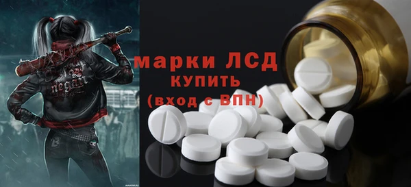 соль ск Инсар