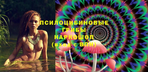 соль ск Инсар