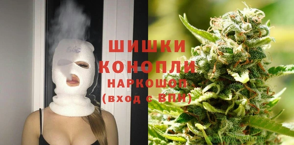 соль ск Инсар