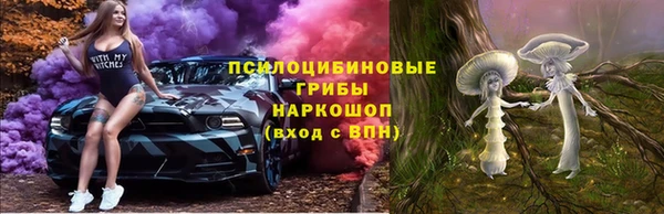соль ск Инсар