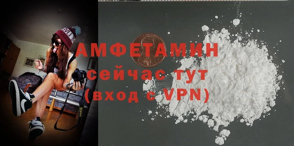 соль ск Инсар
