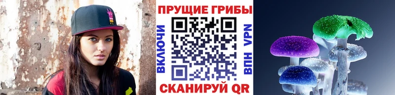 Псилоцибиновые грибы ЛСД Сланцы