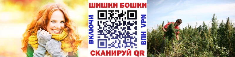 Канабис SATIVA & INDICA  Купить где  Сланцы 